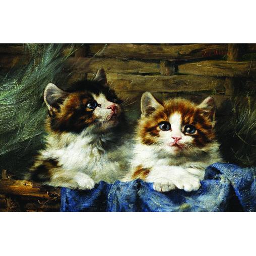 Puzzle Or Couple de Chatons 500 Pièces