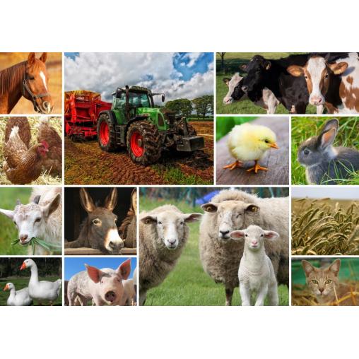 Puzzle Grafika Collage Animales de Granja de 1500 Piezas