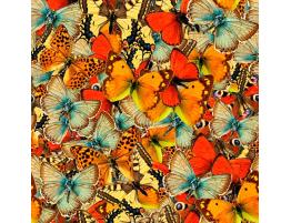 Puzzle Grafika Multitud de Mariposas de 1000 Piezas