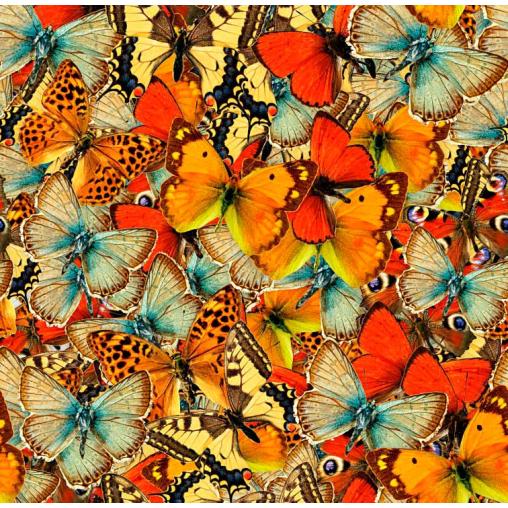 Puzzle Grafika Multitud de Mariposas de 1000 Piezas