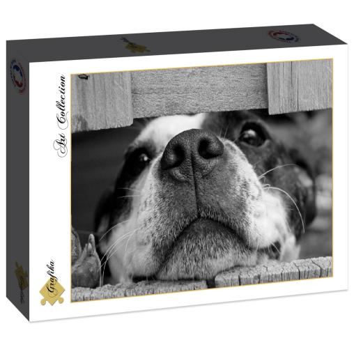 Puzzle Grafika Perrito de 2000 Piezas