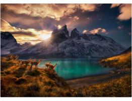 Puzzle Heye Guanacos de 1000 Piezas