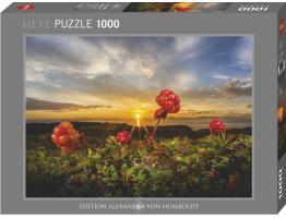 Puzzle Heye Mora de los Pantanos de 1000 Piezas