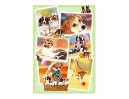 Puzzle Heye Puppies 1000 pièces