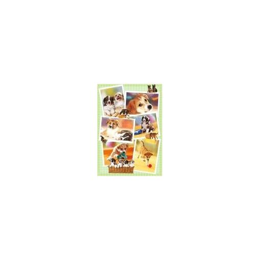 Puzzle Heye Puppies 1000 pièces