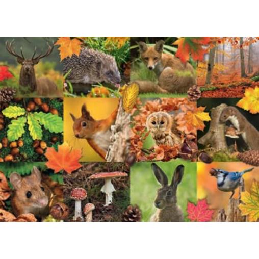 Puzzle Jumbo Animales de Otoño de 1000 Piezas