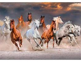 Puzzle Jumbo Caballos del Desierto de 1000 Piezas