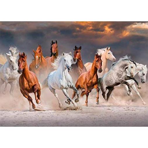 Puzzle Jumbo Caballos del Desierto de 1000 Piezas