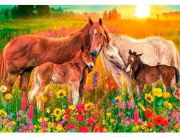 Puzzle Jumbo Caballos en el Arroyo de 500 Piezas