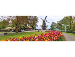 Puzzle Jumbo Panorámica El Keukenhof, Holanda de 1000 Piezas