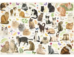 Puzzle Jumbo Poster de gatos de 1000 Piezas