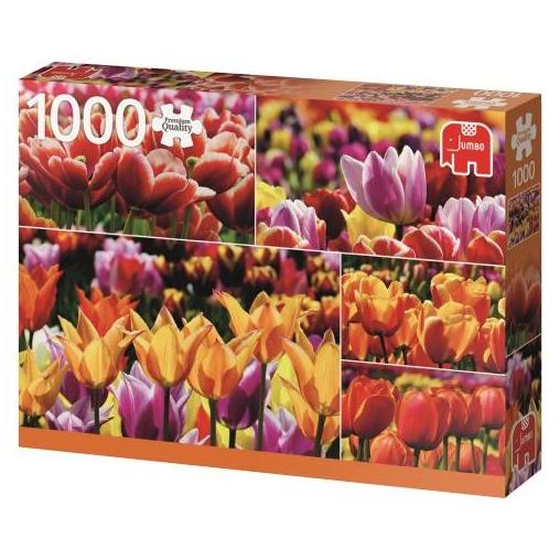 Puzzle Jumbo  Tulipanes Holandeses de 1000 Piezas