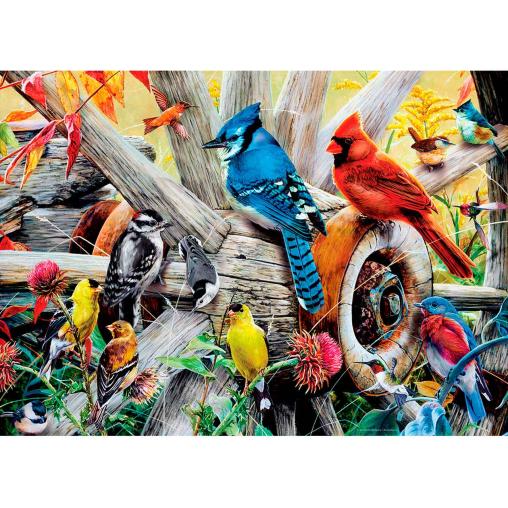 Puzzle MasterPieces Aves del Patio Trasero de 1000 Piezas