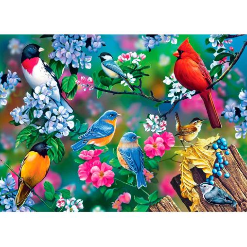 Puzzle MasterPieces Collage de Pájaros Cantores de 1000 Piezas