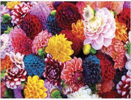 Puzzle MasterPieces Flores Hermosas de 550 Piezas