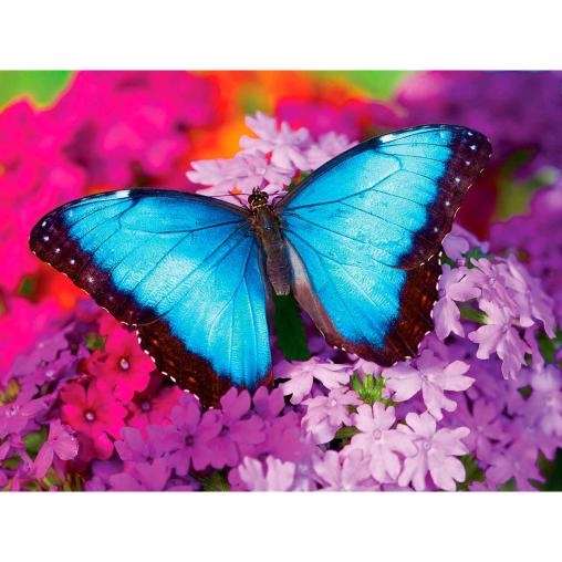 Puzzle MasterPieces La Mariposa Azul de 550 Piezas