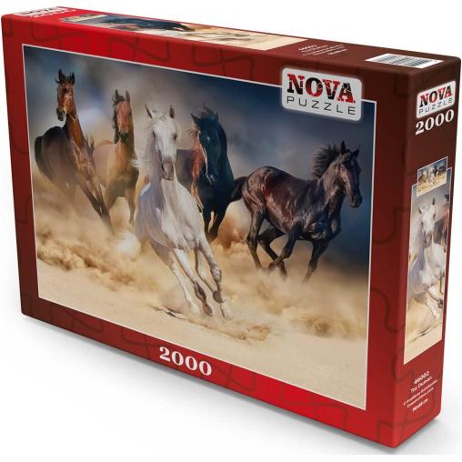 Puzzle Nova La Carrera de Caballos de 2000 Piezas