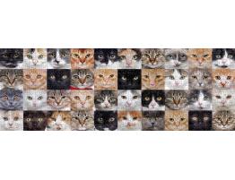 Puzzle Nova Panorama Collage de Gatos de 1000 Pzs