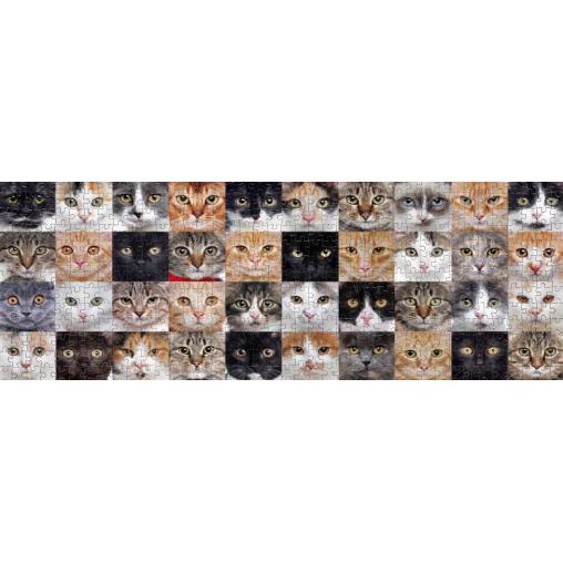 Puzzle Nova Panorama Collage de Gatos de 1000 Pzs