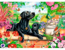 Puzzle Otter House Labrador Negro y Cachorro de 1000 Piezas