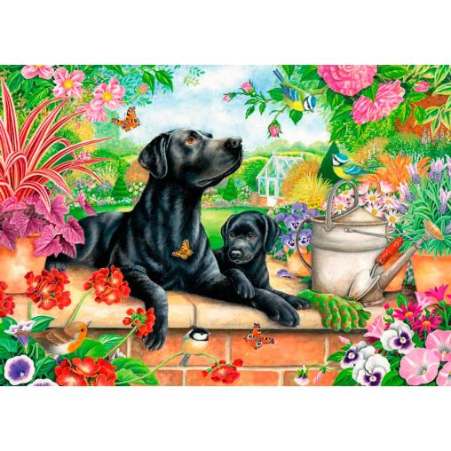 Puzzle Otter House Labrador Negro y Cachorro de 1000 Piezas