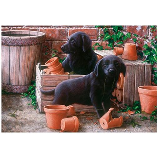 Puzzle Otter House Los Cachorros Bill y Ben de 500 Piezas