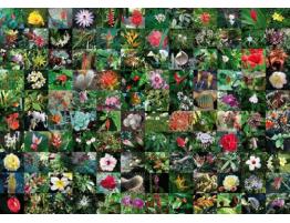 Piatnik Puzzle Collage de Fleurs 1000 pièces