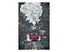 Puzzle Pintoo El Tren de Vapor, Suiza de 600 Piezas