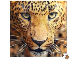 Puzzle Pintoo Primer Plano Leopardo MINIATURE de 256 Piezas