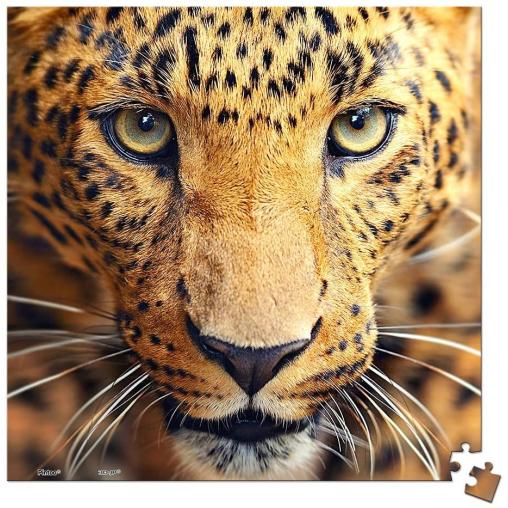 Puzzle Pintoo Primer Plano Leopardo MINIATURE de 256 Piezas