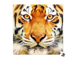 Puzzle Pintoo Primer Plano Tigre MINIATURE de 256 Piezas