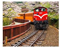 Puzzle Pintoo Tren Forestal en Parque Nacional Alishan de 500 P