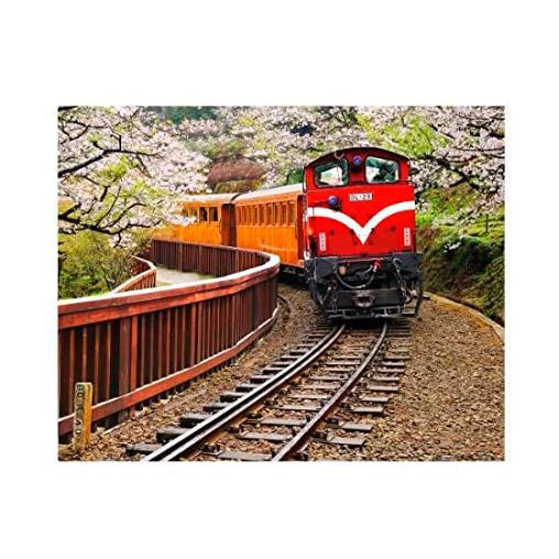 Puzzle Pintoo Tren Forestal en Parque Nacional Alishan de 500 P