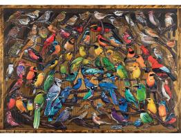 Puzzle Ravensburger Arco Iris de Pájaros de 1000 Piezas