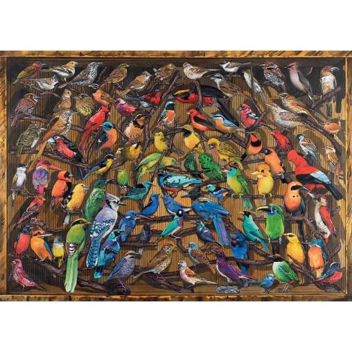 Puzzle Ravensburger Arco Iris de Pájaros de 1000 Piezas