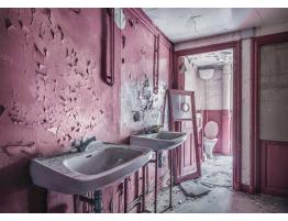 Puzzle Ravensburger Baño Rosa en Ruinas de 1000 Piezas