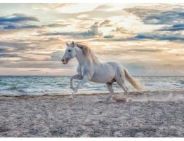 Puzzle Ravensburger Caballo Blanco de 500 Piezas