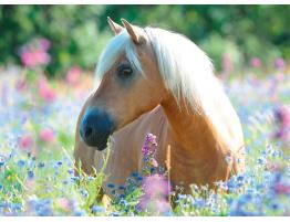 Puzzle Ravensburger Caballo Entre las Flores XXL 300 Pzs