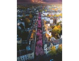 Puzzle Ravensburger Ciudad de Bonn Florecida de 1500 Piezas