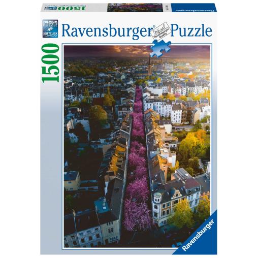 Puzzle Ravensburger Ciudad de Bonn Florecida de 1500 Piezas