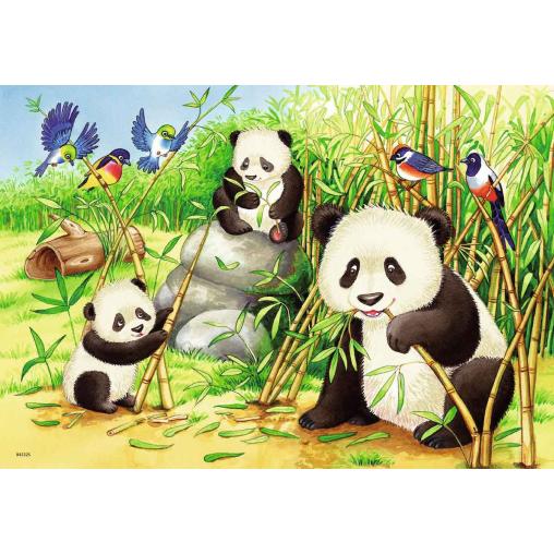 Puzzle Ravensburger Dulces Koalas y Pandas de 2x24 Piezas