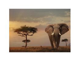 Puzzle Ravensburger Elefante de los Masai Mara de 1000 Piezas