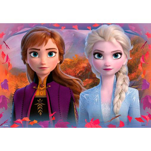 Puzzle Ravensburger Frozen 2 de 2x12 Piezas