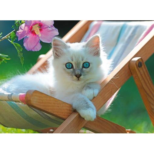 Puzzle Ravensburger Gatito Blanco XXL de 200P