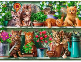 Puzzle Ravensburger Gatos en el Estante de 500 Piezas