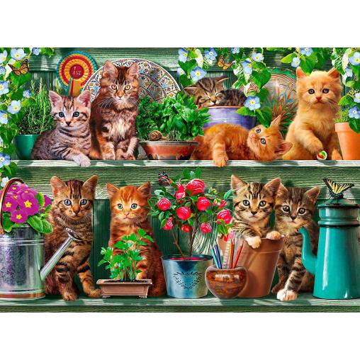 Puzzle Ravensburger Gatos en el Estante de 500 Piezas