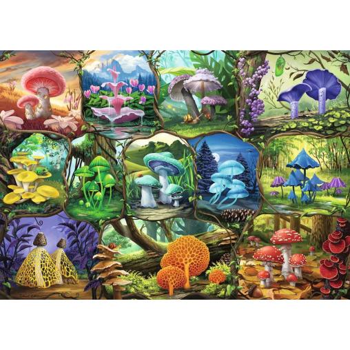 Puzzle Ravensburger Hermosas Setas de 1000 Piezas