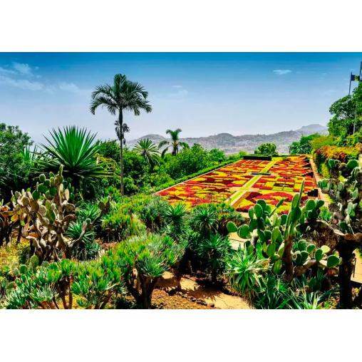 Puzzle Ravensburger Jardín Botánico, Madeira 1000 Pzs