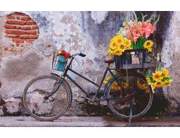 Puzzle Ravensburger Moment Bicicleta de 200 Piezas