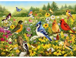 Puzzle Ravensburger Pájaros en el Prado de 500 Piezas